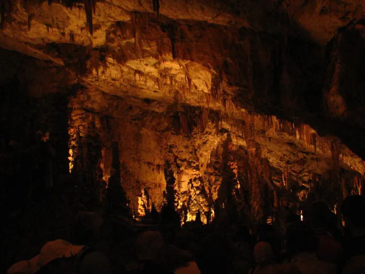Postojna Cave (7)