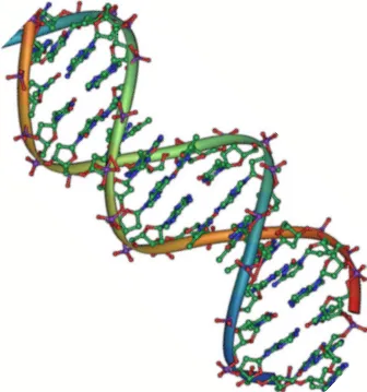 DNA double helix 45
