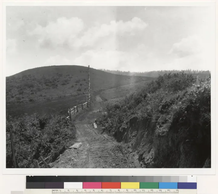 East-west fault line fence near Manchester, offset by fault. Looking east, road & fence repaired since earthquake.